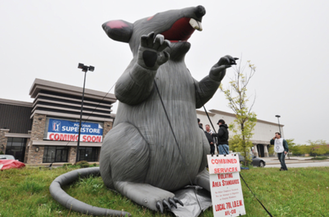 Scabby the Rat is shown at a Downers Grove protest